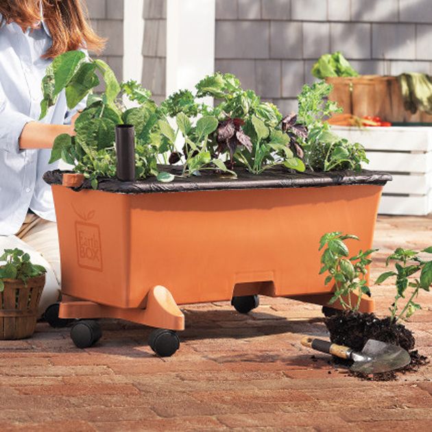 EarthBox Terracotta Garden Kit