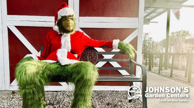 It's Grinch Weekend at Johnson's.