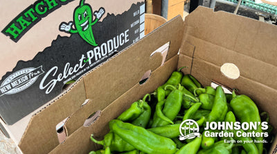 Hatch Green ChileFest is this Saturday!