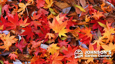 One year's seeding makes seven years' weeding.