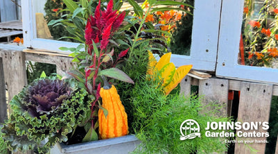 Sign up for our Fall Porch Planter Workshop this weekend.