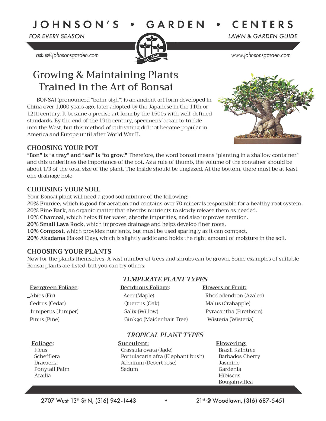 Bonsai  Johnson's Garden Centers