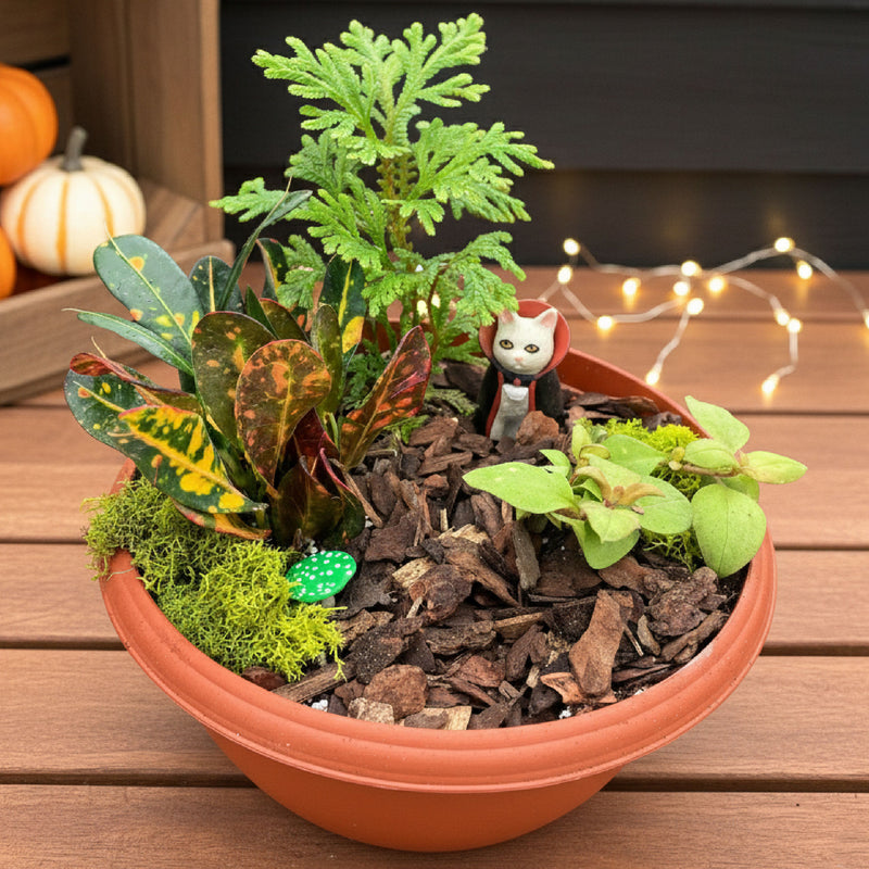Miniature Creature Garden Workshop