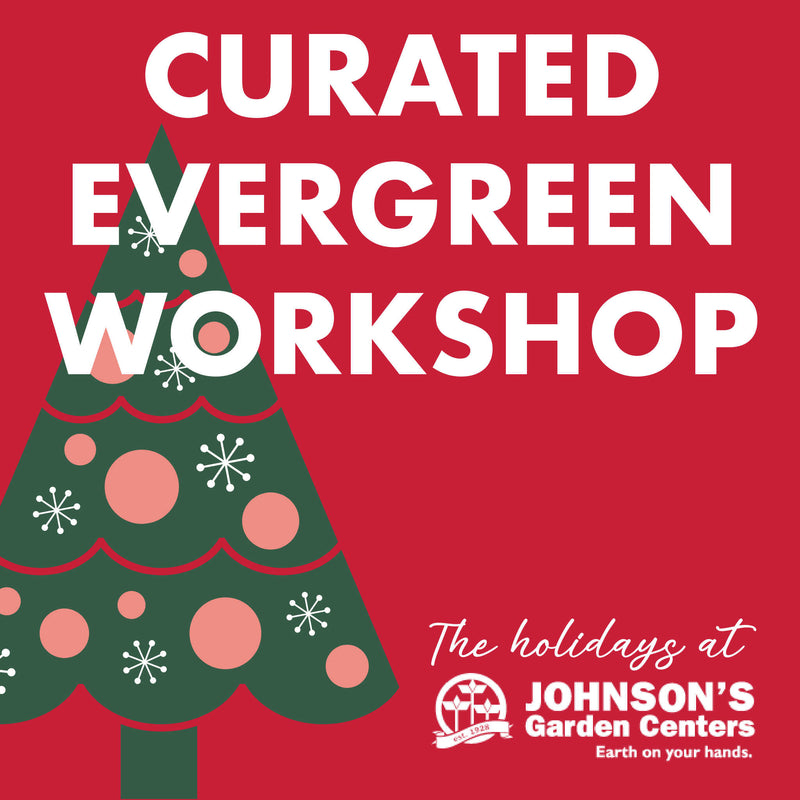 Curated Evergreen Design Workshop