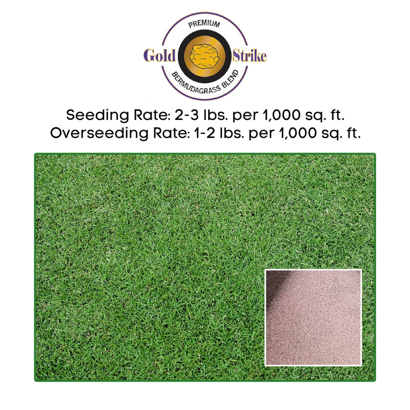 Gold Strike Bermudagrass Blend Grass Seed (2 lb.)