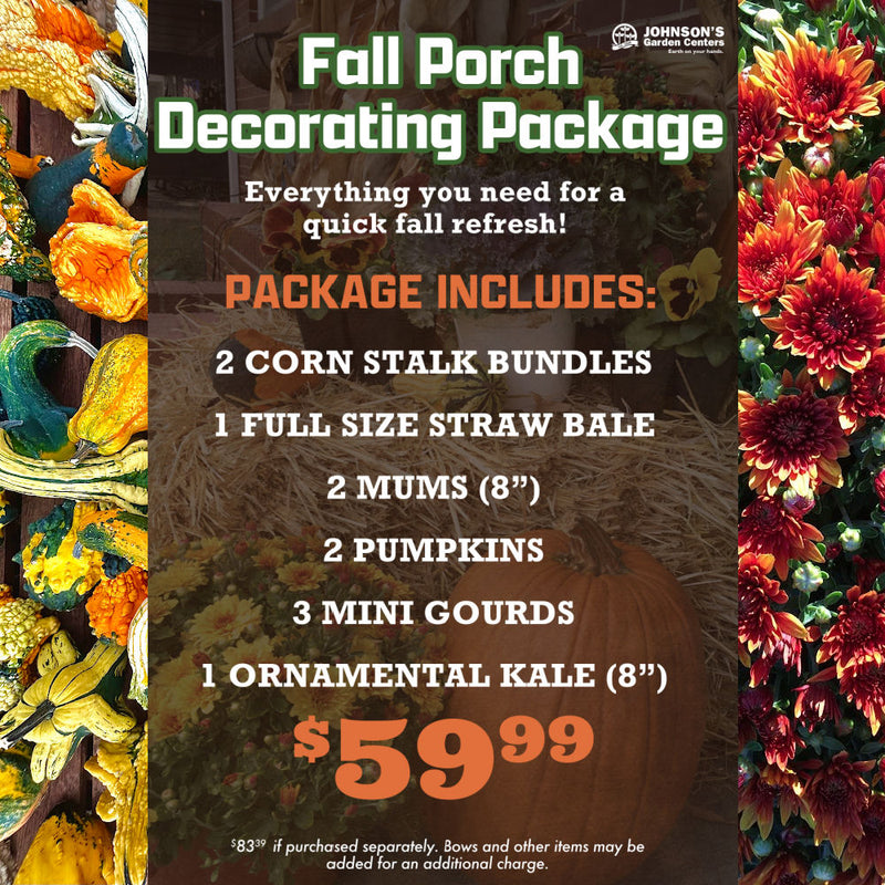 Fall Porch Decorating Package