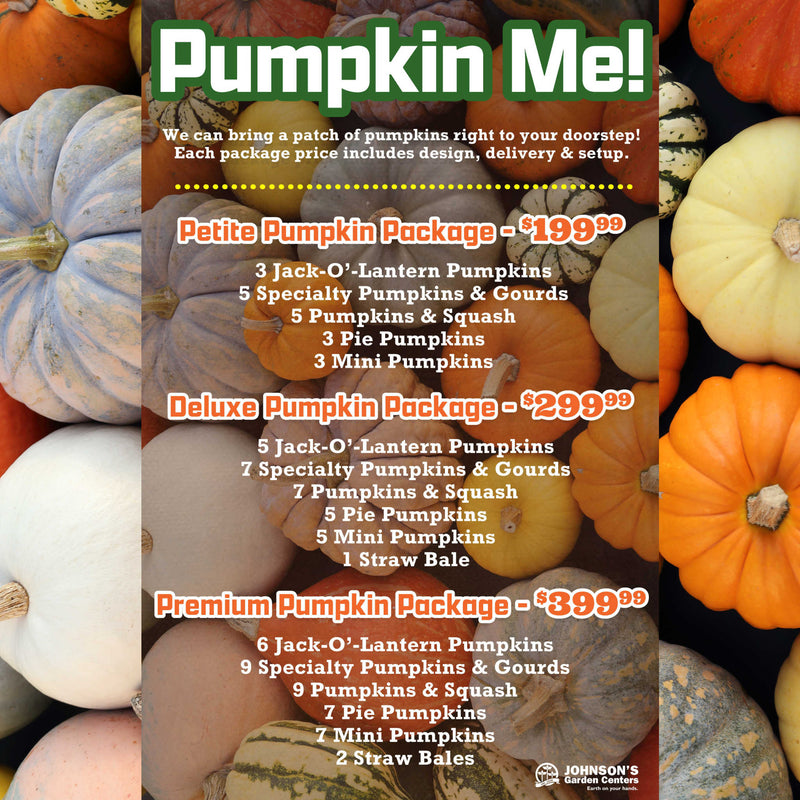 Pumpkin Me! Packages