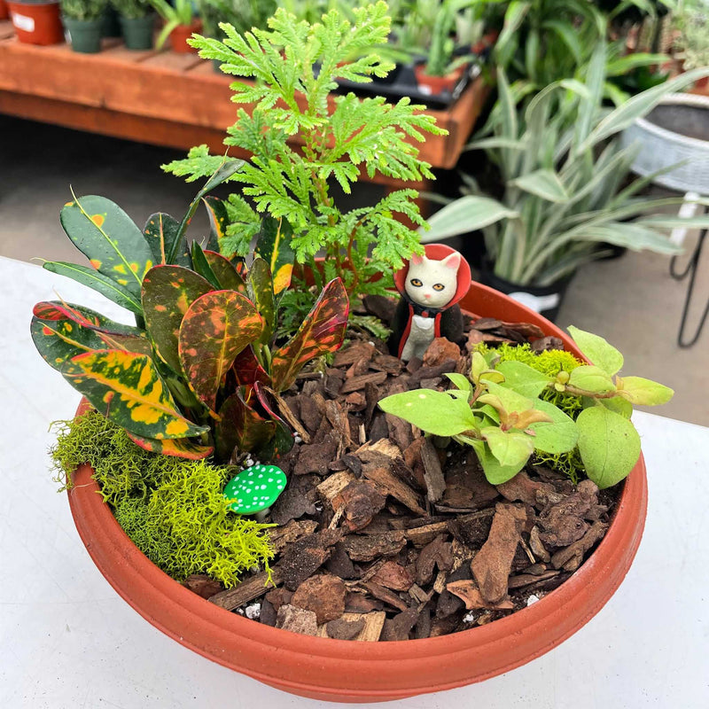 Spooky Miniature Garden Workshop