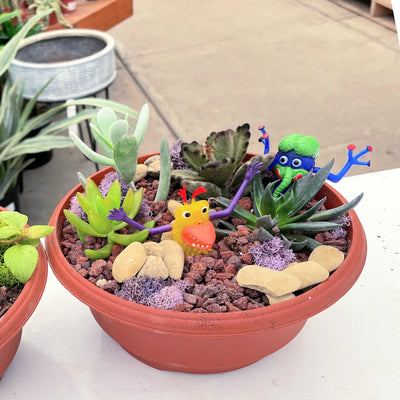 Spooky Miniature Garden Workshop