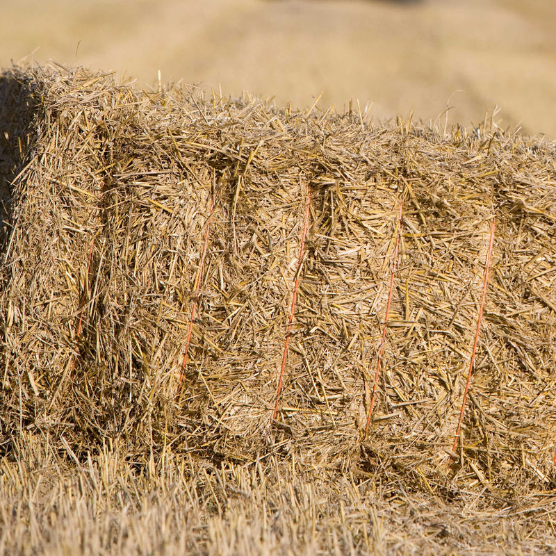 Straw Bale Pumpkin Me! Package Add-On