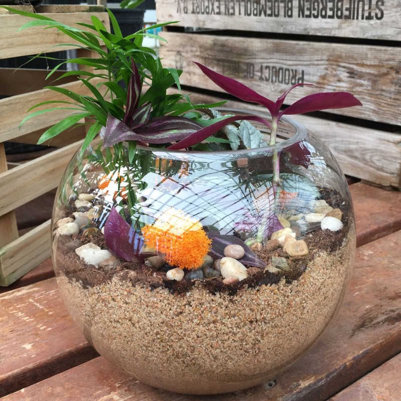 Glass Terrarium Workshop