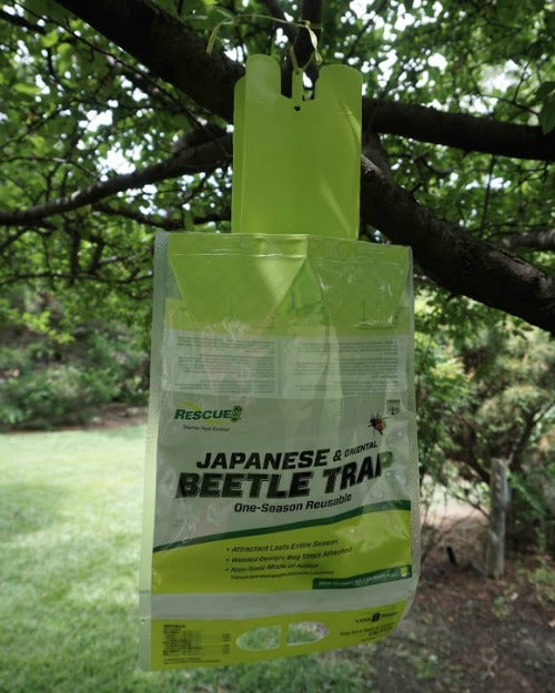 Rescue Japanese & Oriental Beetle Trap – Johnson's Garden Centers