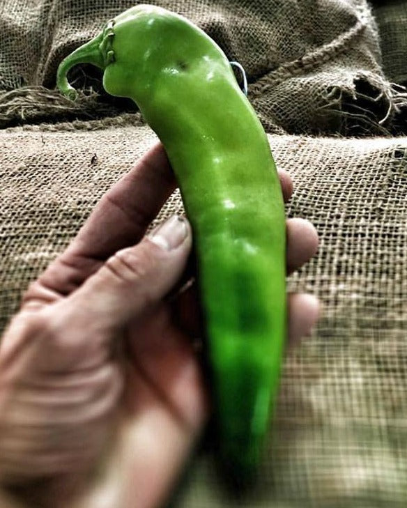 Roasted Green Chile (Store Pickup)